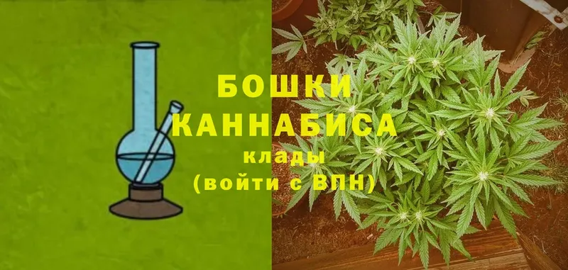 Канабис конопля  Кольчугино 